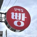 비디펌힐링까사