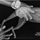 돌봄동물메디컬클리닉 이미지