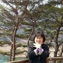 월하이태극문학관 이미지