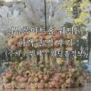 상록결혼정보 | 상록아트홀 웨딩 하객 솔직 후기(주차 / 식사 / 웨딩홀 정보)