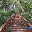 느림보강물길 이미지