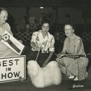 황제라사 이미지