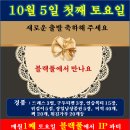 ●IP클럽10월 블랙풀 파티 이미지