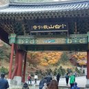 (주)아름관광여행사 - 청주시 청원구 | (주)아름관광여행사