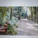 변천경로당 이미지