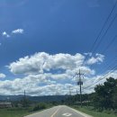 소금강행복펜션 | [강릉숙소] 산에언덕에 펜션&amp;카페 여름 재방문 후기. 내돈내산 감성숙소. 우정여행 숙소 추천.