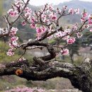태백안동축산