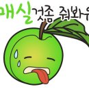 모멘트핏 이미지