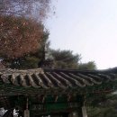 애련정(愛蓮亭) 이미지