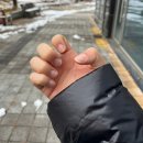 프롬탑투토 이미지