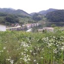 이서부동산중개사무소 이미지