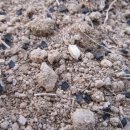 낙안농장 이미지