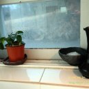 헤이리애 이미지