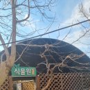 Albero (알베로) 이미지