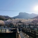 딸기노래광장 이미지