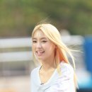 씨스타마켓
