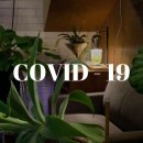 6560 | #1_코로나19(COVID-19) [인천 영종도] 자가격리 자가검사키트 PCR검사 검사결과 통보시간 재택치료...