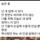 미룡 이미지