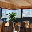 힐링엔젤스 이미지