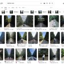 향토목장 | 사려니숲길 근처 제주전통음식 쌈정식 이효리 방문 맛집, '교래퐁낭' 갈치조림 솔직후기