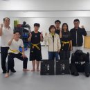 힘찬합기도주짓수태권도 | 구리시 태권도협회