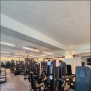 아벨라 짐 이미지