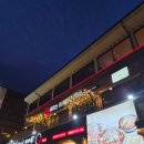 꽃피자 | 수성못 데이트 맛집 SNS 저장 목록 방문 후기:: 꽃피는화덕피자D485 쫜득쫜득 도우 맛집!