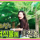 이희철농장 이미지