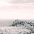 녹산사슴 이미지