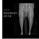 서창사랑동물의료센터 이미지
