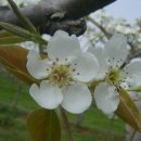 양석농장 이미지