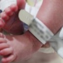 수정-118 이미지