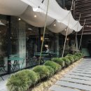 모스가든 이미지