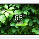 이비즈네트웍스 | 65인치TV는 음향이 문제가 있어서 TV사운드바 구매했어요