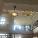 커피 플라워 이미지