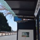 팔공산녹색길 숲길 1코스 이미지