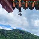 삼정사 이미지