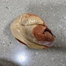 공구로 구매한 원미떡볶이 맛 솔직후기