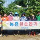 수안보로 이미지