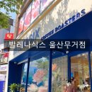 [공지] 울산 신상 카페: 발레나식스 무거점ㅣ베이커리카페 내돈내산 후기