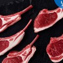 알로하 청송 이미지