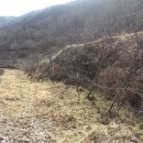 사과나무공인중개사사무소 이미지