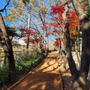 한천가로공원 이미지