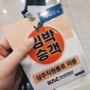 미르세이프티 | 에어부산 제주도 지연 태풍 종다리 변경후기