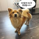 한신아파트 이미지