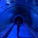 작은동물원수족관 이미지