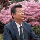 하이얀피아노 이미지