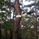 정문마을 이미지