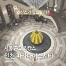 파라다이스 수영장 | 서울 근교 호캉스 인천 파라다이스시티 디럭스킹 수영장 후기