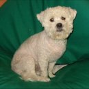 갈마중학교 이미지